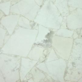Ice Onxy