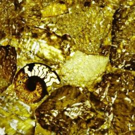 Graphic Feldspar